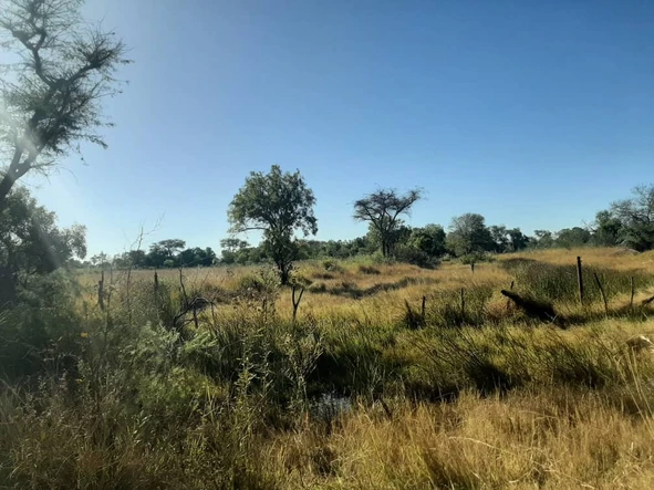 Farm & Agricultural Land