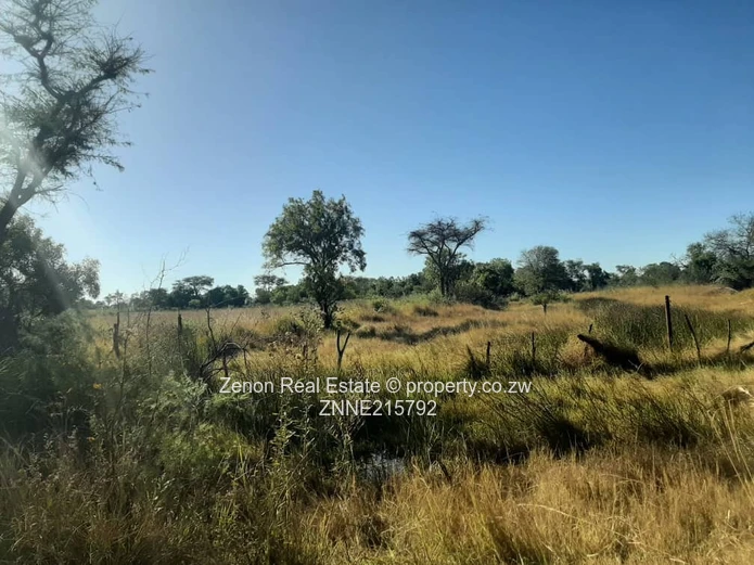 20ha for sale in beatrice, 133k ,terms accepted.3km from masvingo main road.