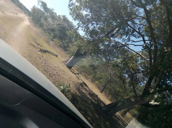 Farm & Agricultural Land