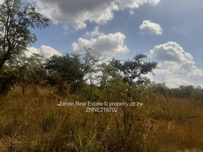 20ha for sale in beatrice, 133k ,terms accepted.3km from masvingo main road.