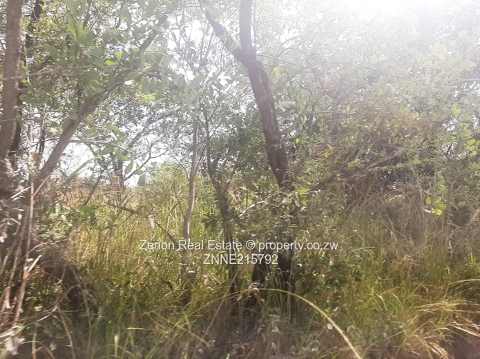 20ha for sale in beatrice, 133k ,terms accepted.3km from masvingo main road.