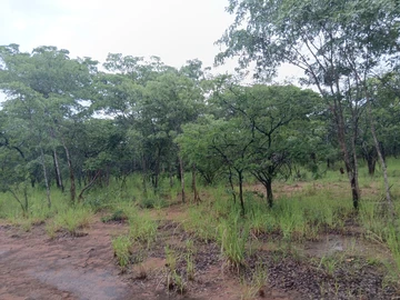 Farm & Agricultural Land