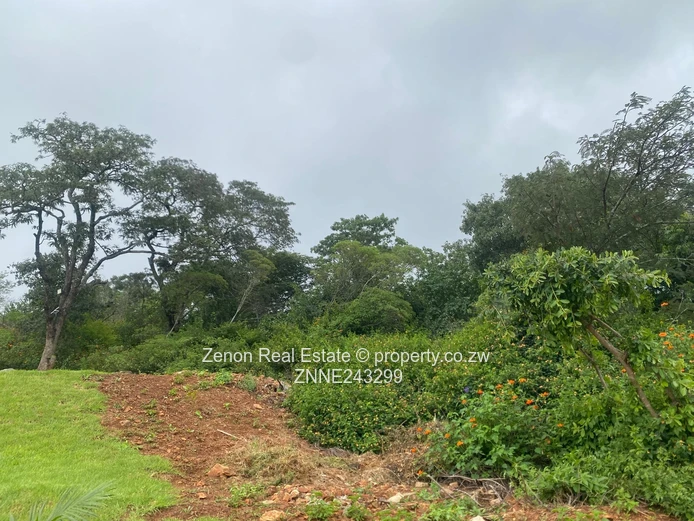 2000sqm in Quinnington for 200k ,gated community, close to brook (Sole Mandate)