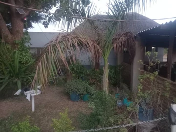 Shop & Retail Property